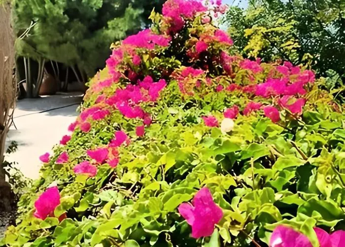 Vila Dream Escape To Agios Georgios, Peyia