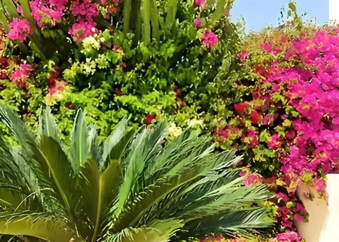 Βίλα Dream Escape To Agios Georgios, Peyia *