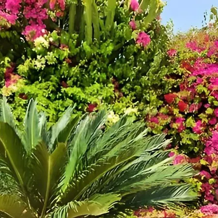 ヴィラ Dream Escape To Agios Georgios, Peyia *